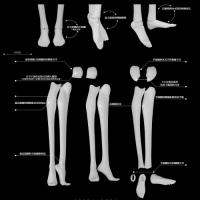 Legs parts